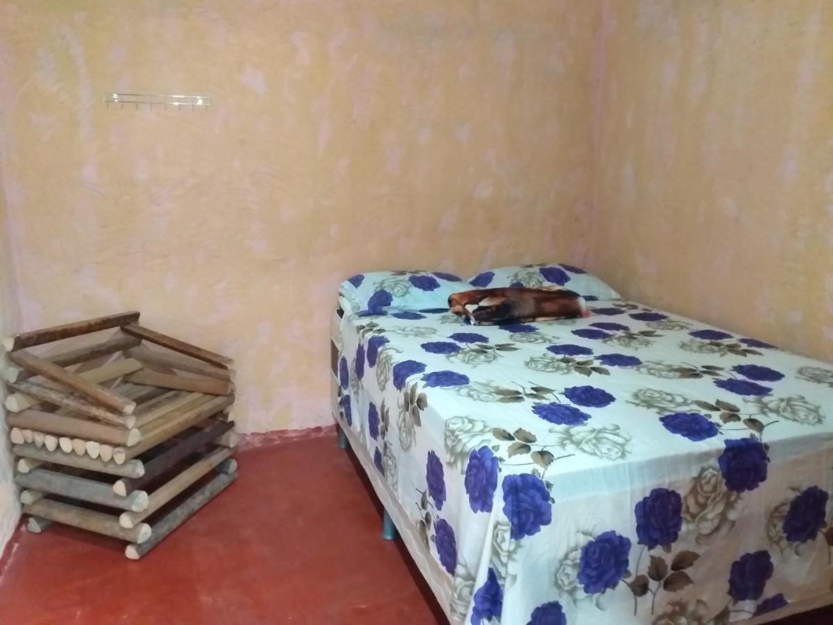 Refugio Raiz Camping カロリナ エクステリア 写真