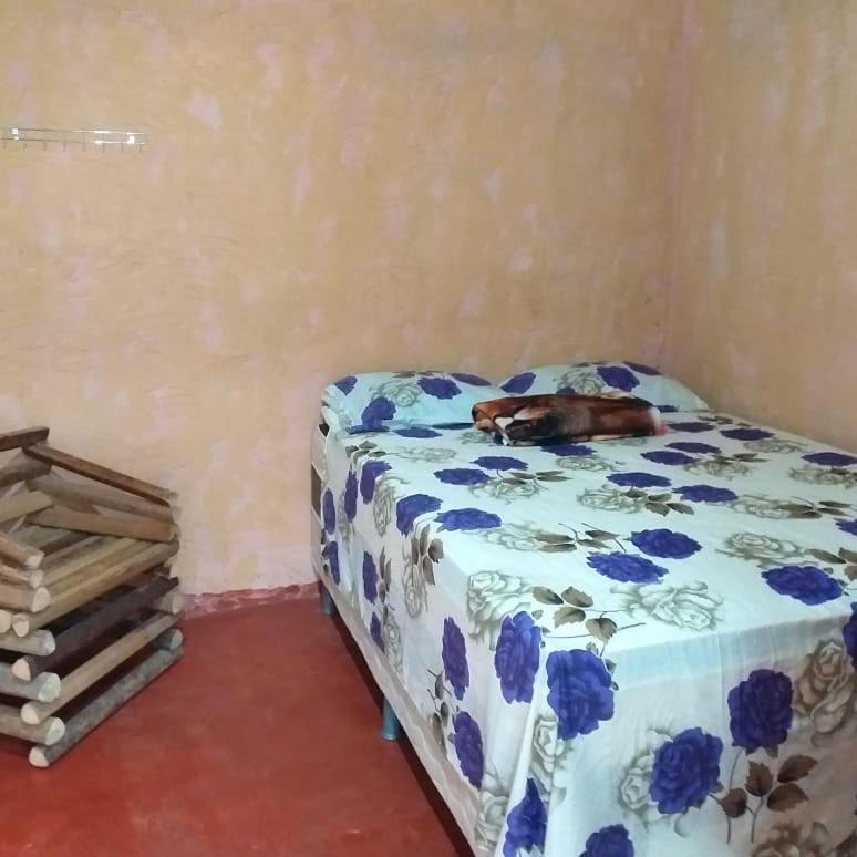 Refugio Raiz Camping カロリナ エクステリア 写真