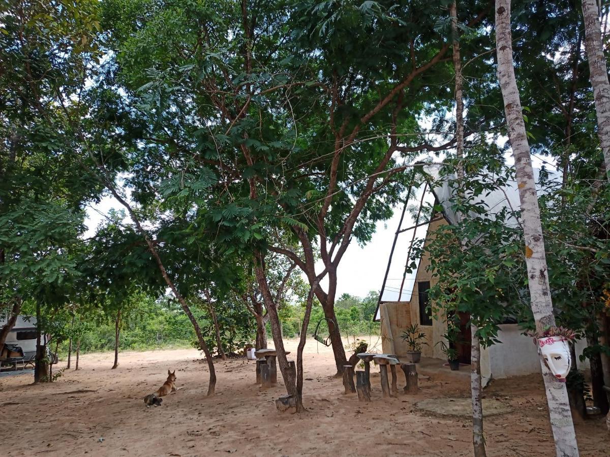 Refugio Raiz Camping カロリナ エクステリア 写真