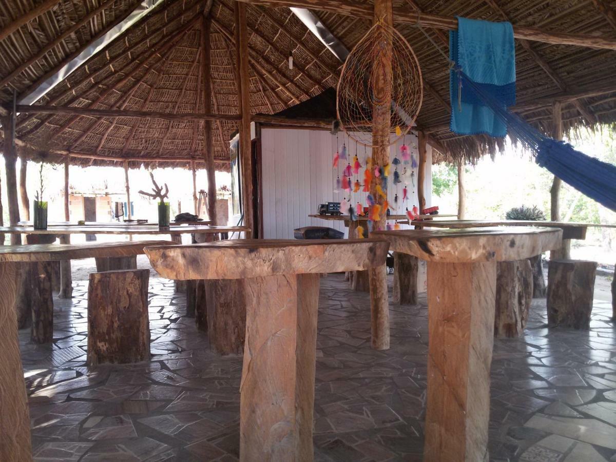 Refugio Raiz Camping カロリナ エクステリア 写真